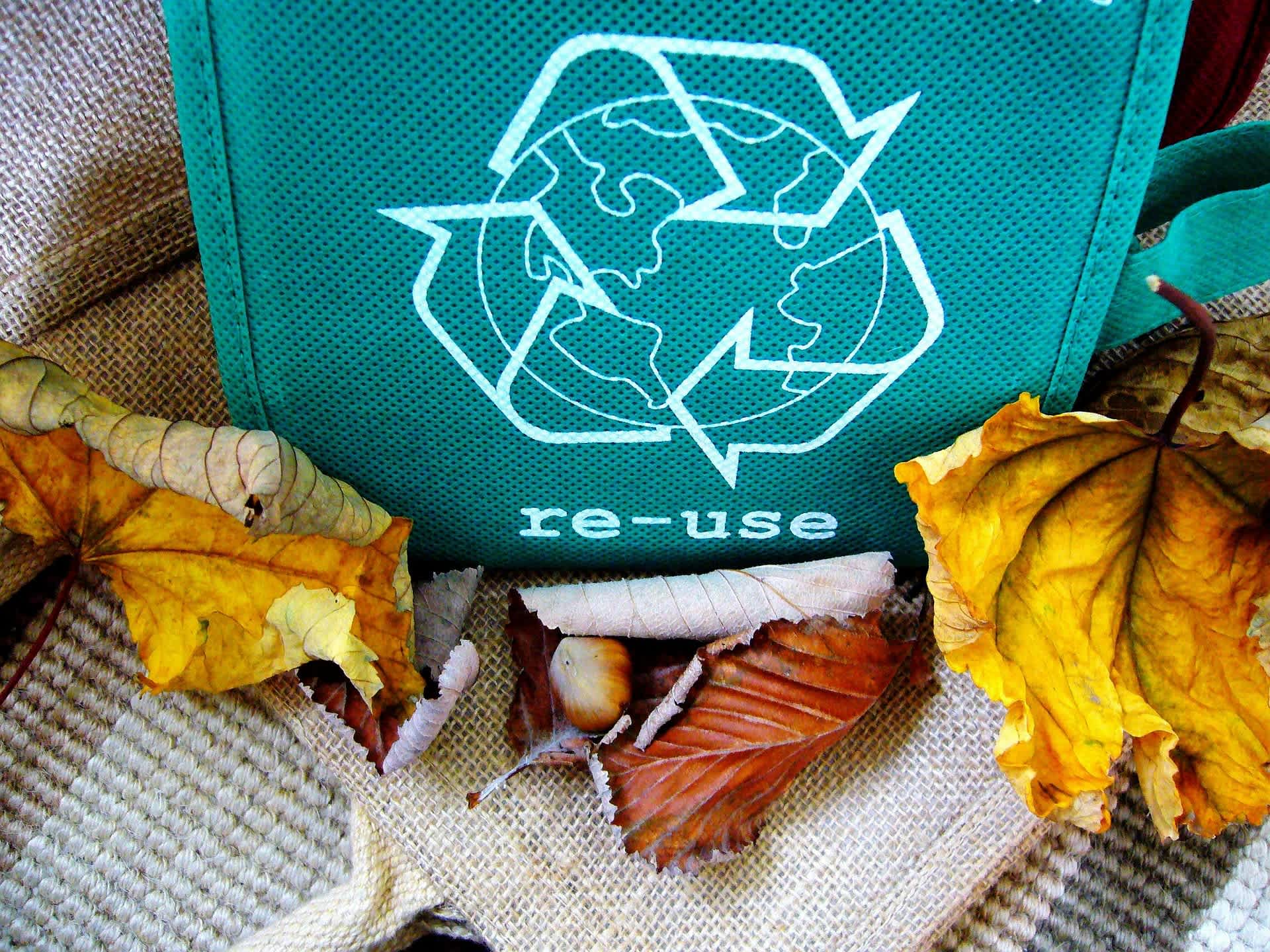 Small Changes, Big Results: Making Eco-Friendly Life