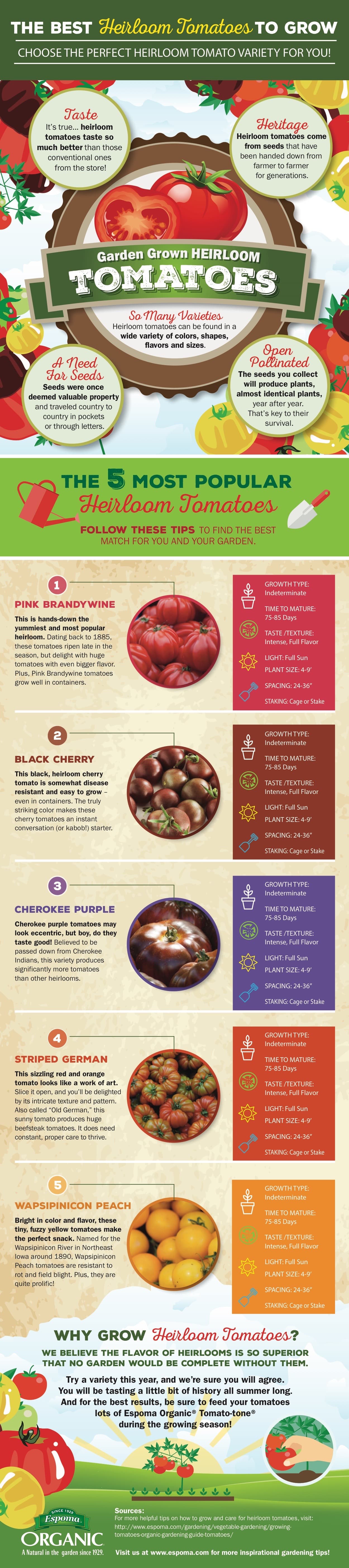 The Best Heirloom Tomatoes to Grow...