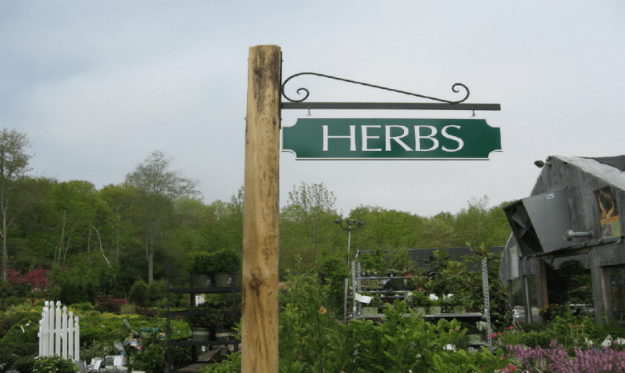 herbs