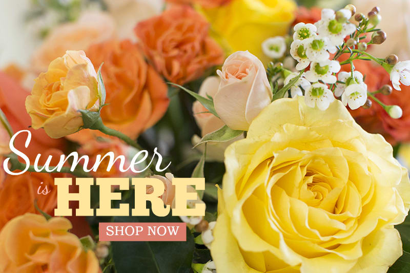 Newton Florist Flower Delivery by Busy Bee Flowers