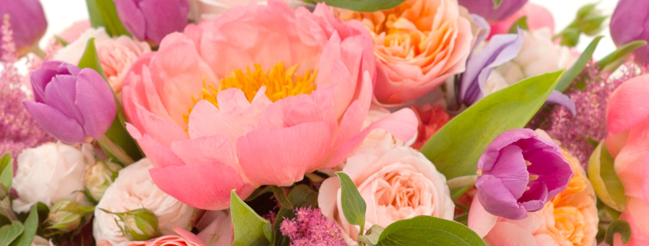 North Myrtle Beach Florist Flower Delivery by Flowers on the Coast