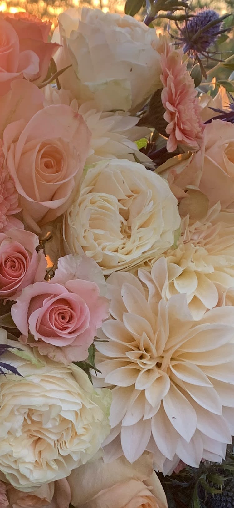 Litchfield Florist Flower Delivery by Flowers of Distinction