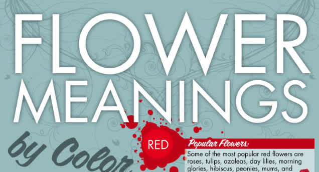 Flower Meanings by Color