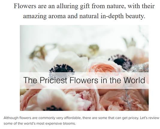 The World's Most Expensive Flowers