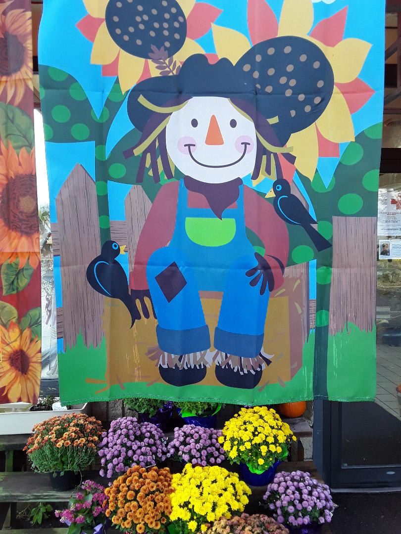 Scarecrows and Pumpkins!