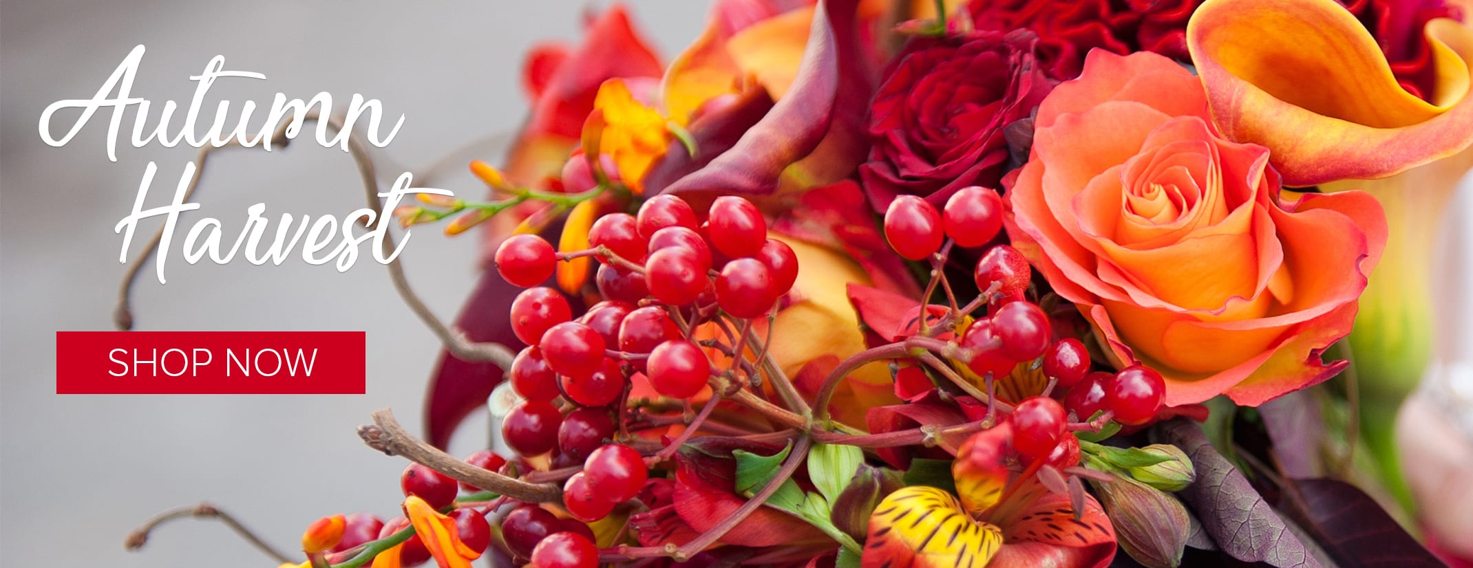 Lake Oswego Florist Flower Delivery by R Blooms