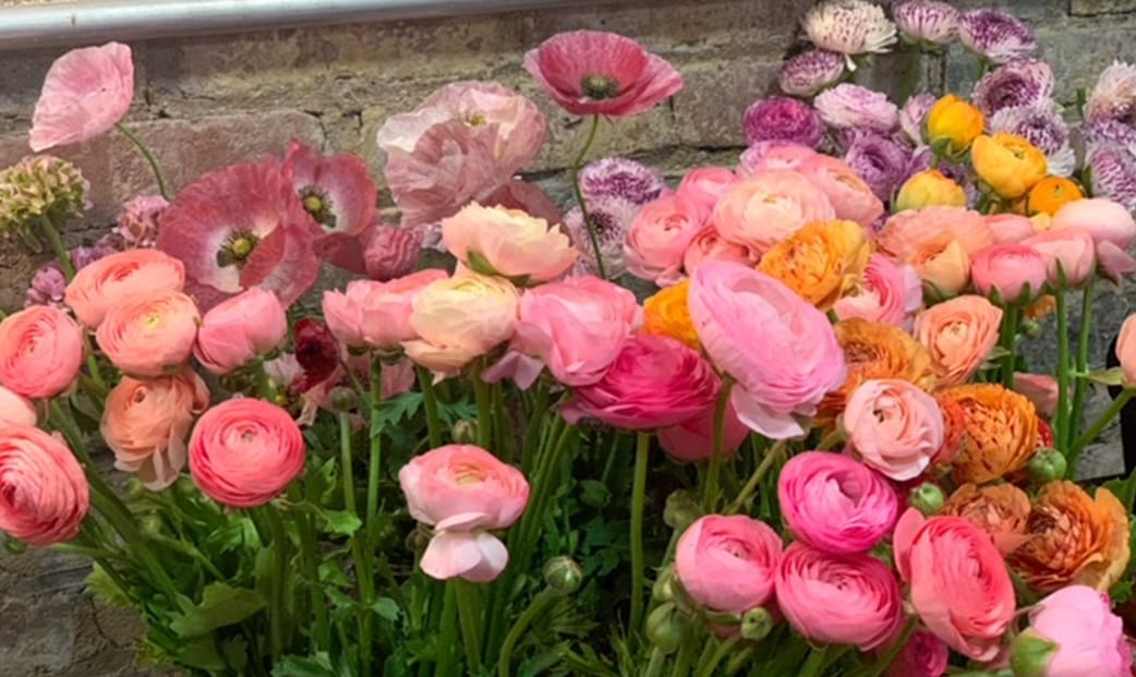 Boonton Florist Flower Delivery by Bloomery Flower Market