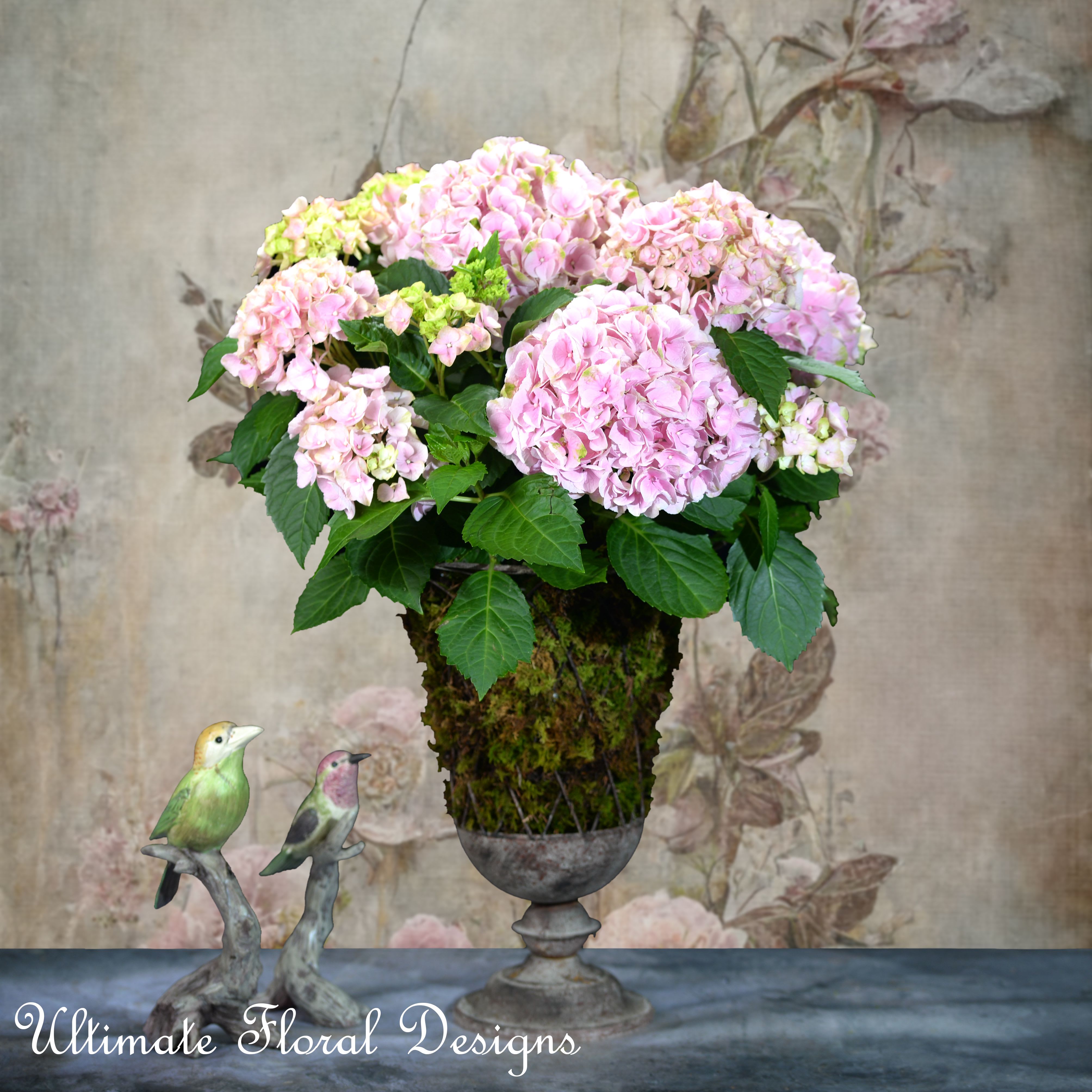  Embracing the Beauty of Hydrangeas 