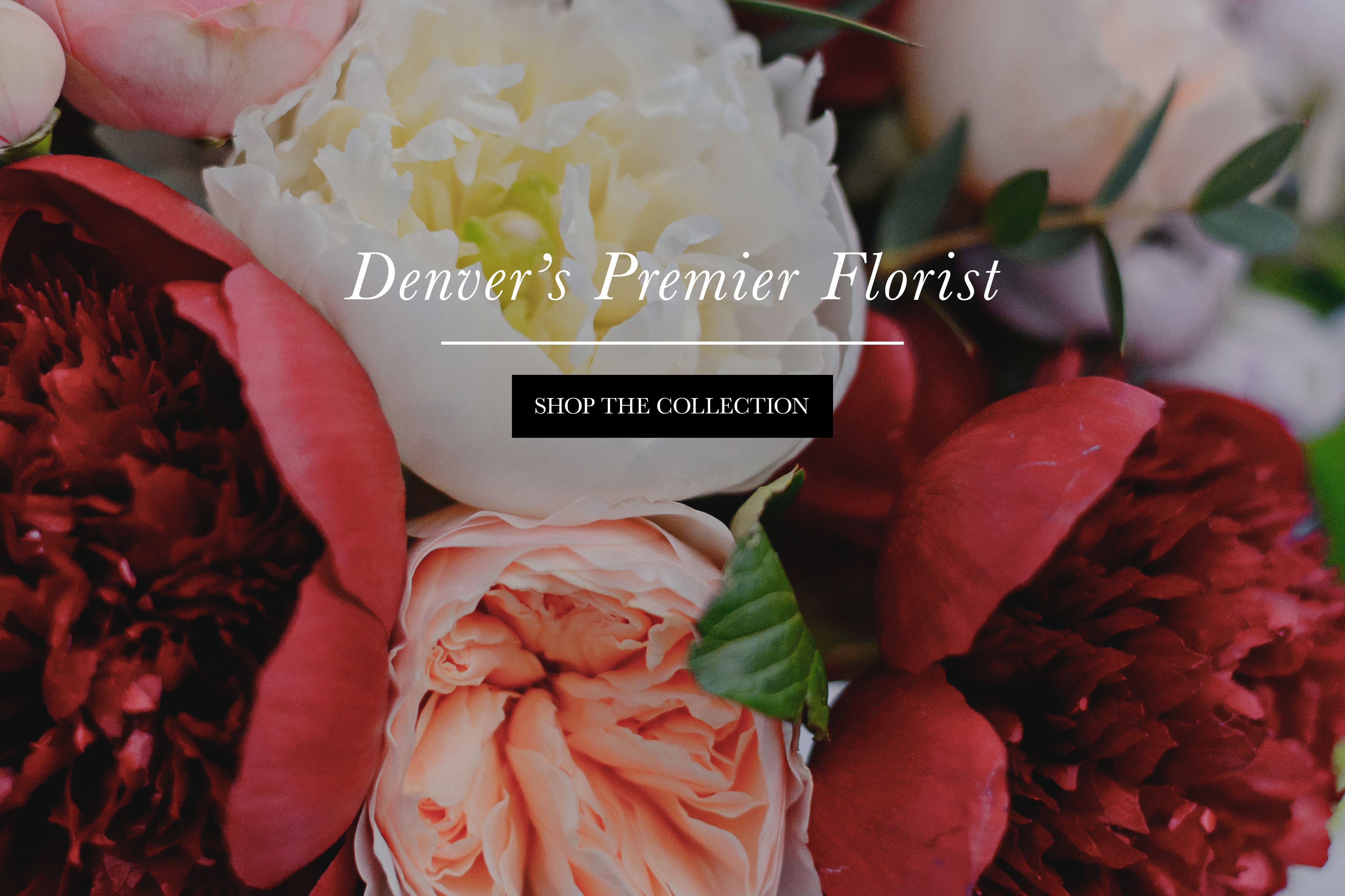 Denver Florist Flower Delivery by The Twisted Tulip