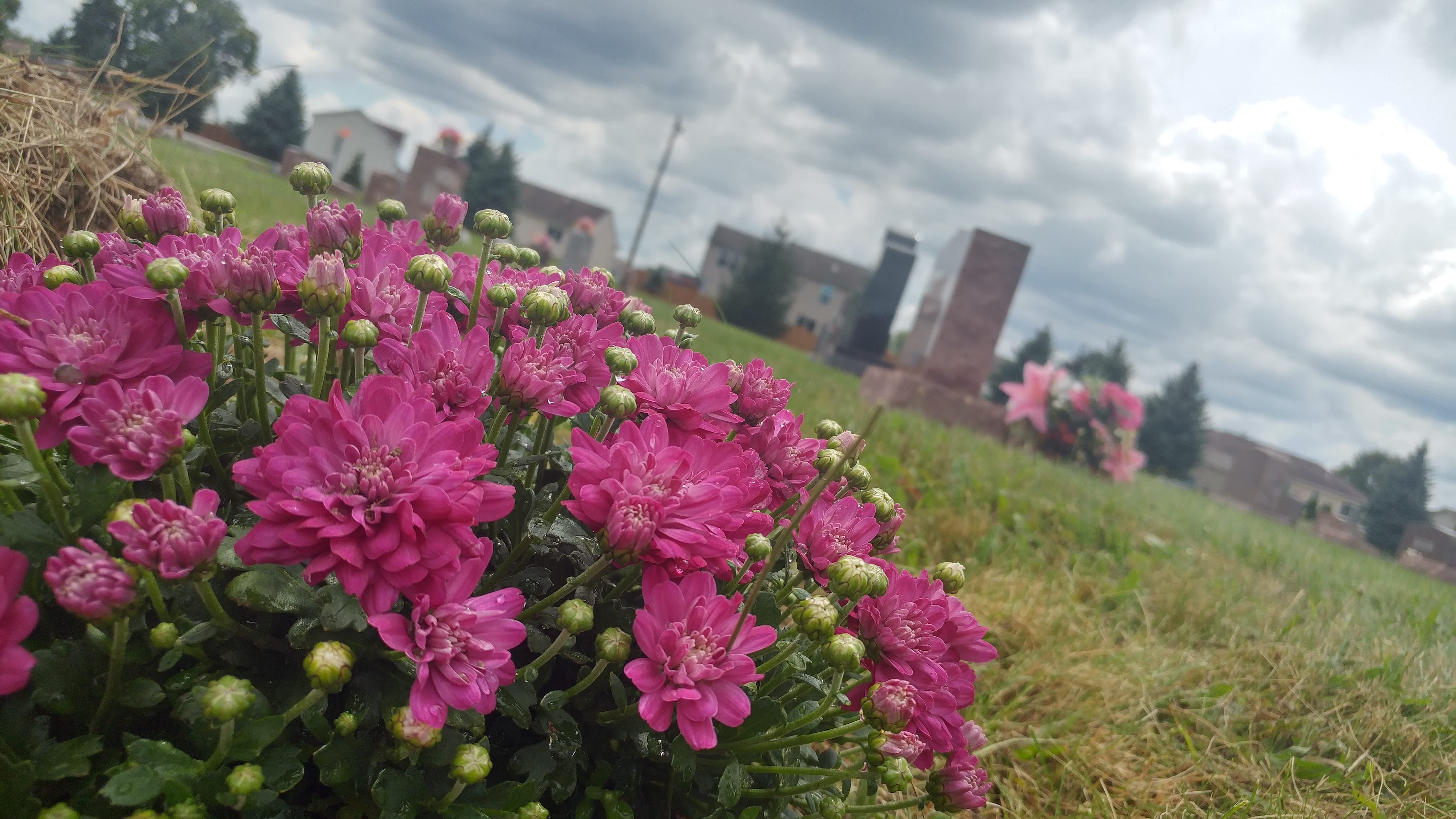 A Hope Beyond Winter