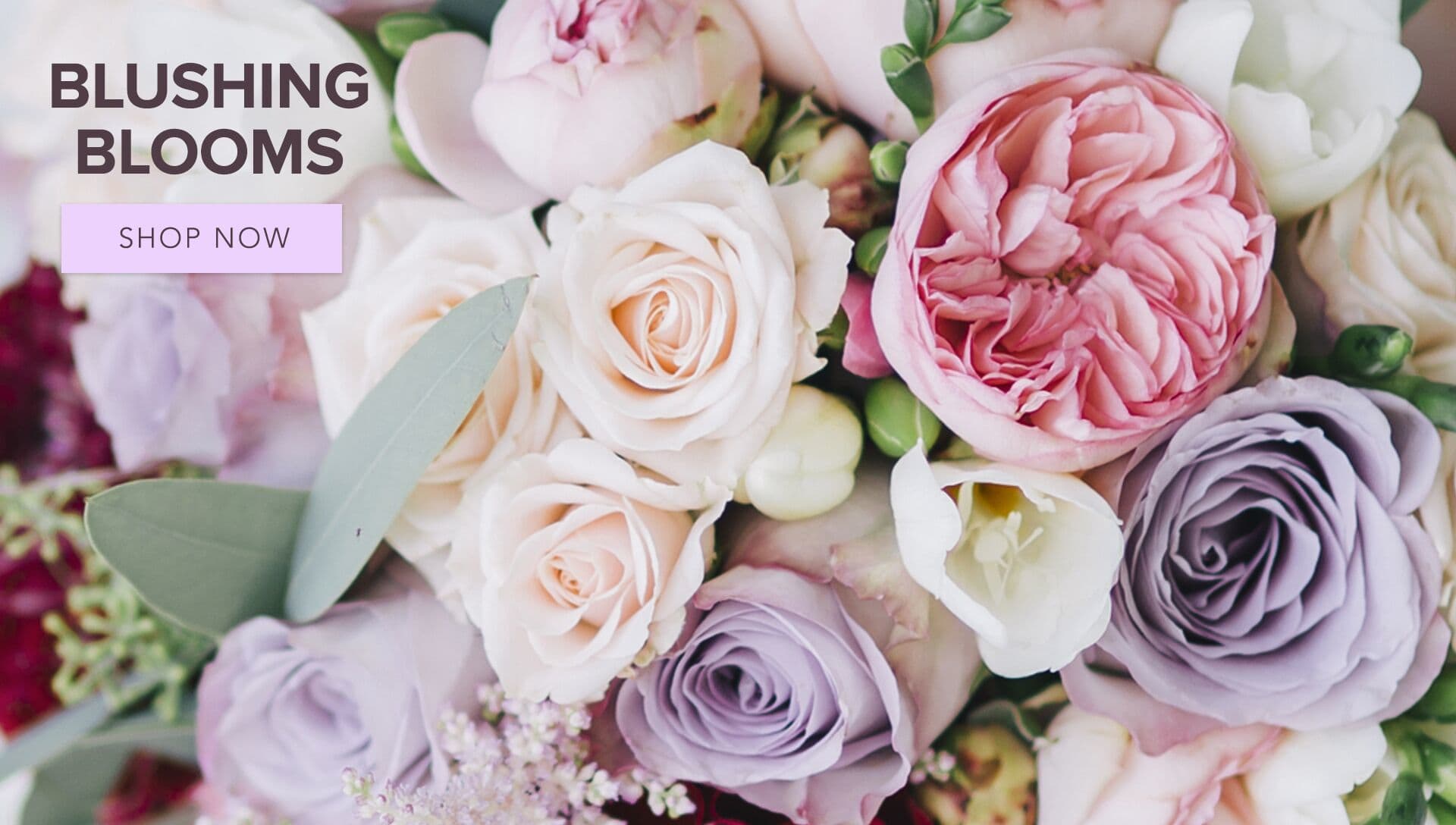 Edina Florist Flower Delivery by Flowers of Edina