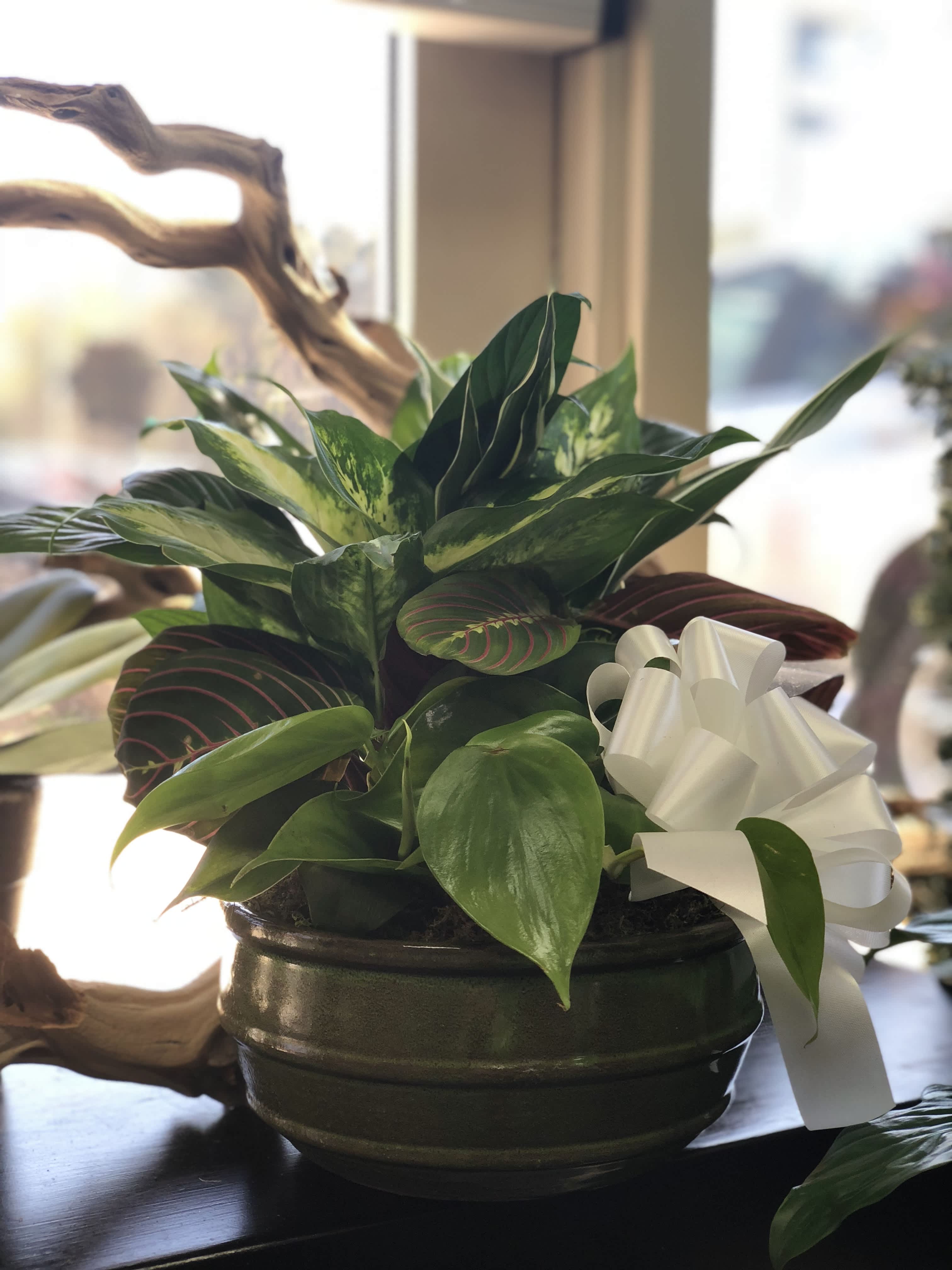 Gifts for Bosses Day