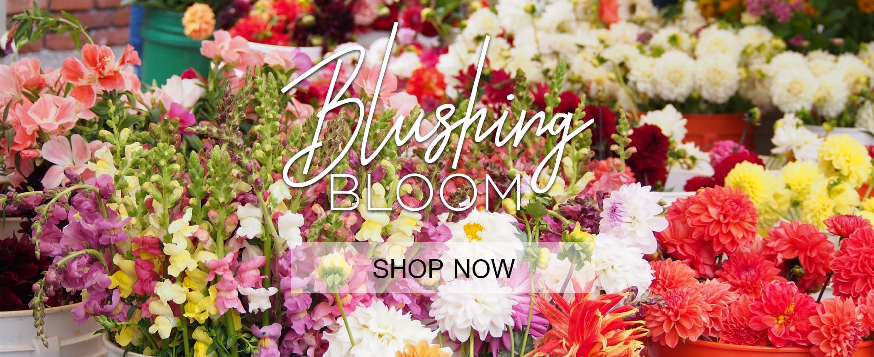 Fort Lauderdale Florist Flower Delivery by Art of Petals