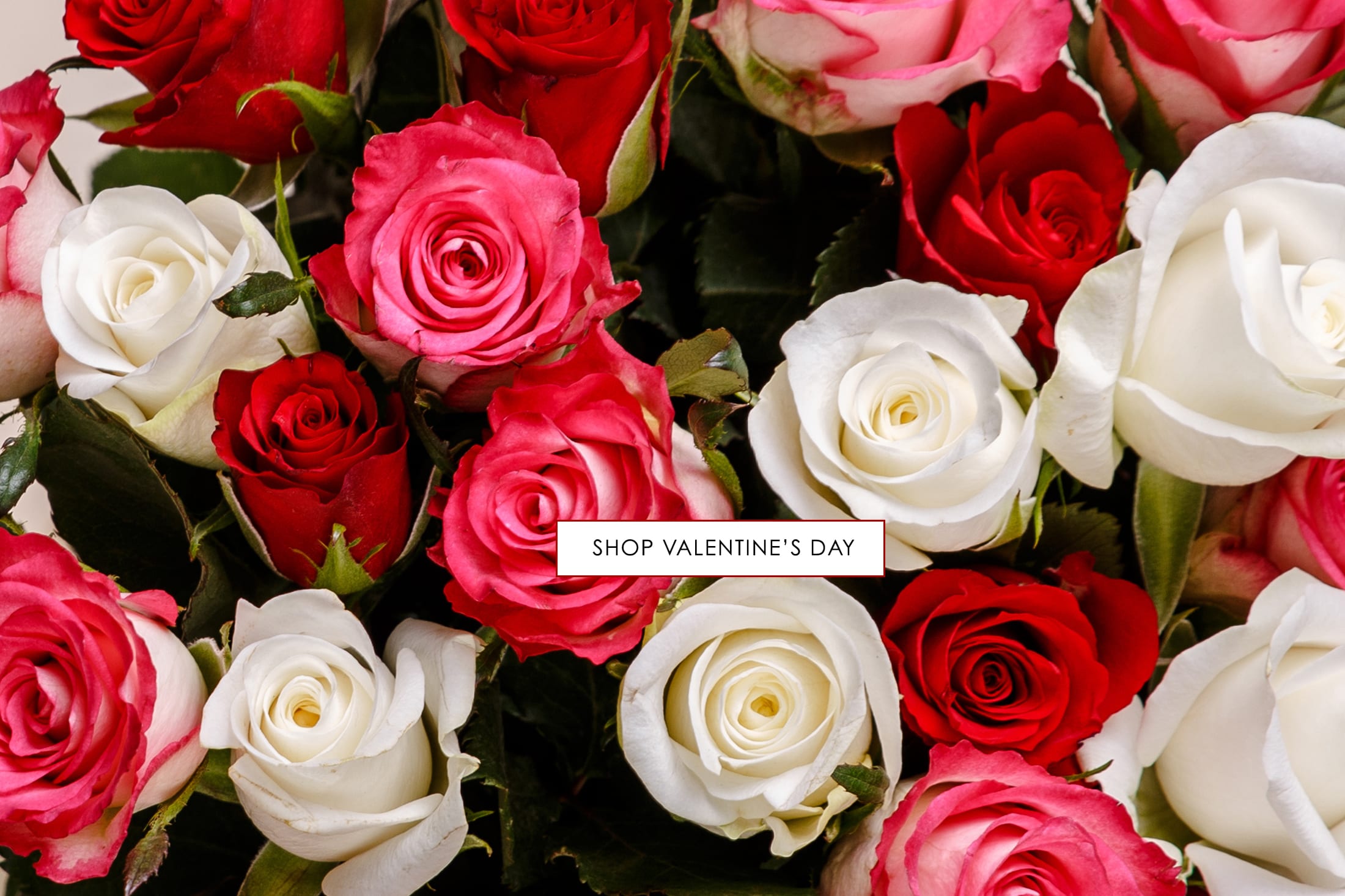 Wilmington Florist Flower Delivery by Creative Designs By Jim