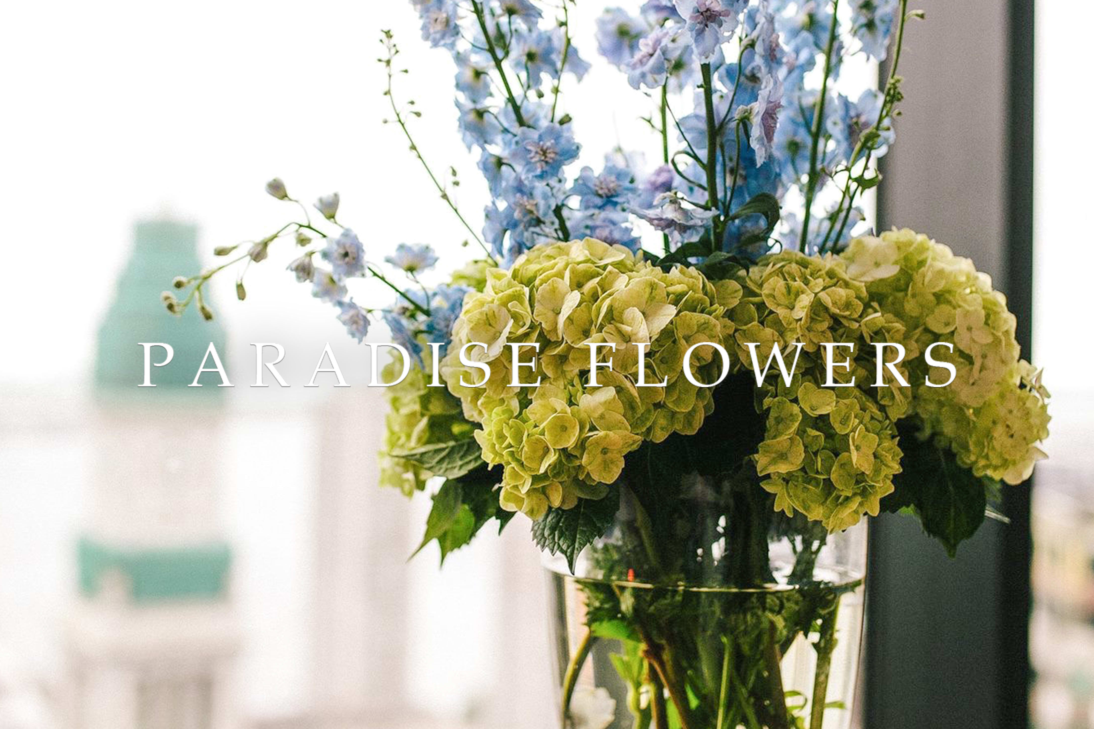 Belmont Florist Flower Delivery by Paradise Flowers