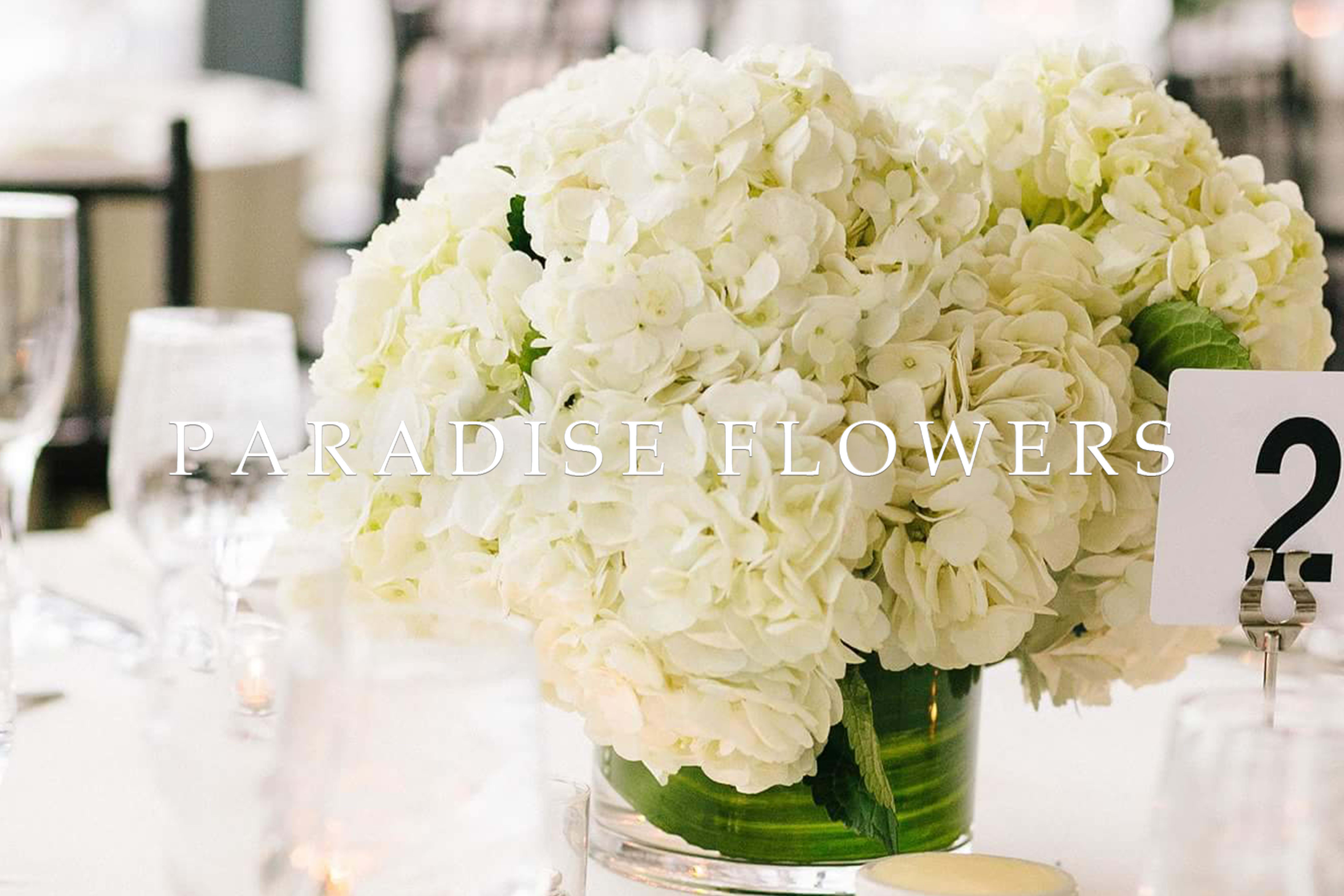 Belmont Florist Flower Delivery by Paradise Flowers