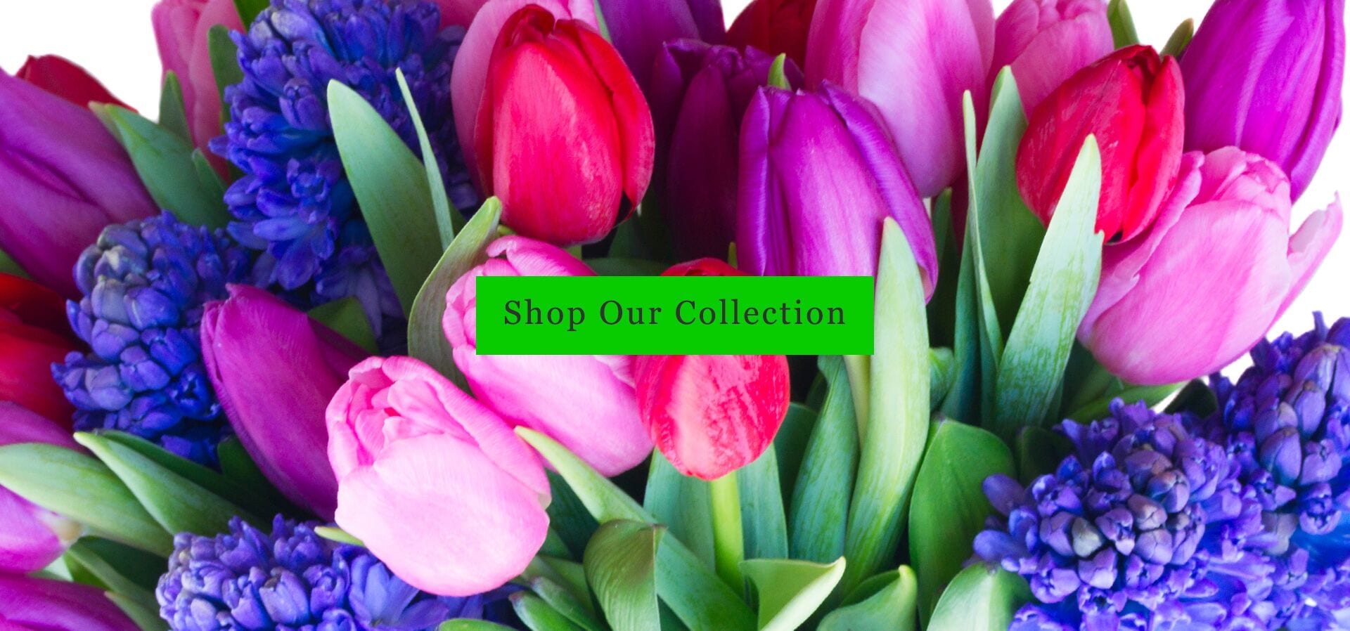 Portland Florist Flower Delivery by Flowers Tommy Luke