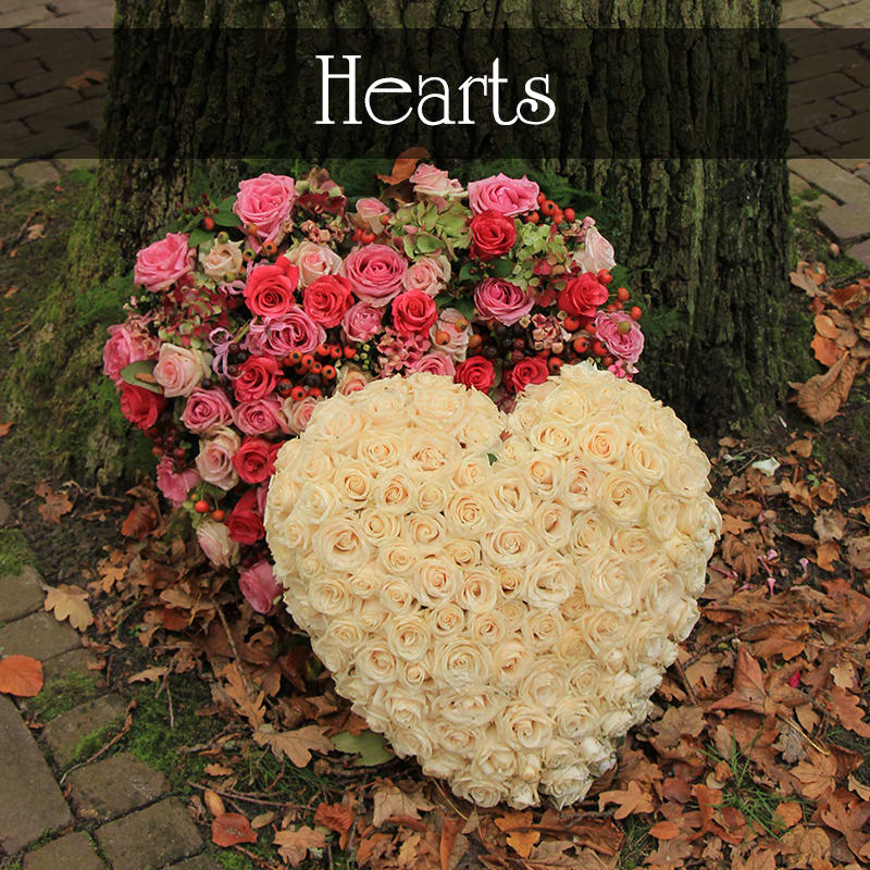 Sympathy Flowers Tommy Luke