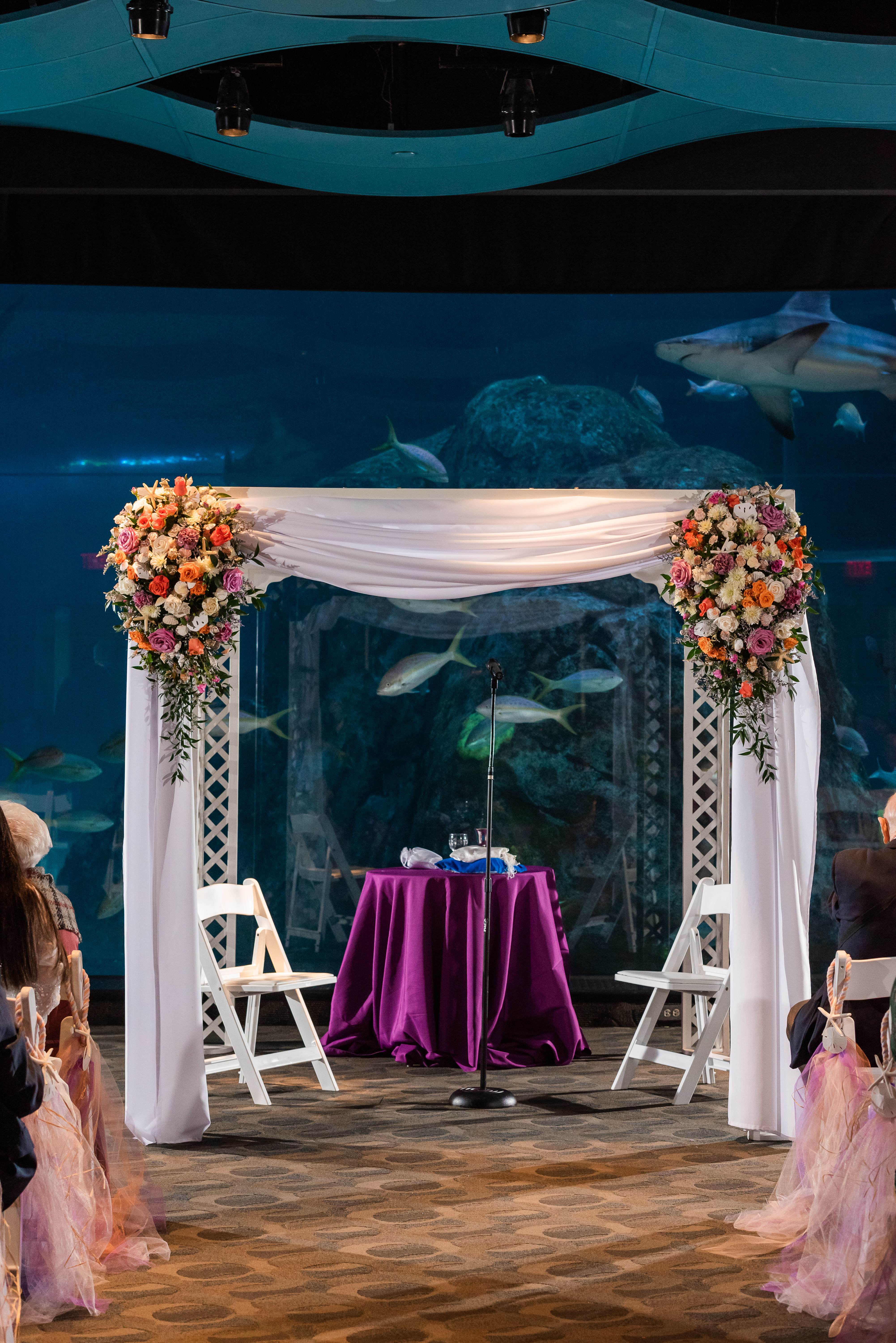 Rebecca & Joseph 06.11.22