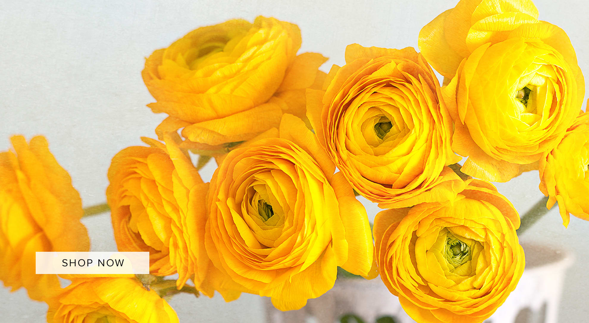 Huntington Beach Florist Flower Delivery by Huntington Flowers