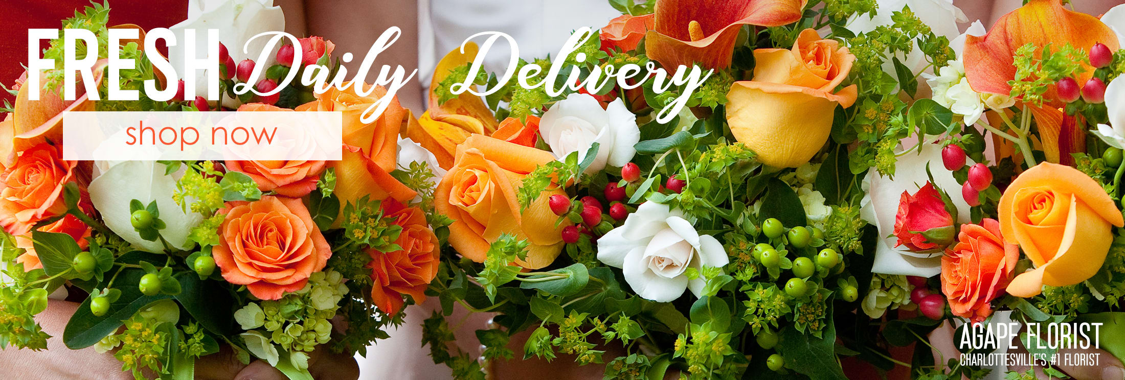 Charlottesville Florist Flower Delivery by Agape Florist