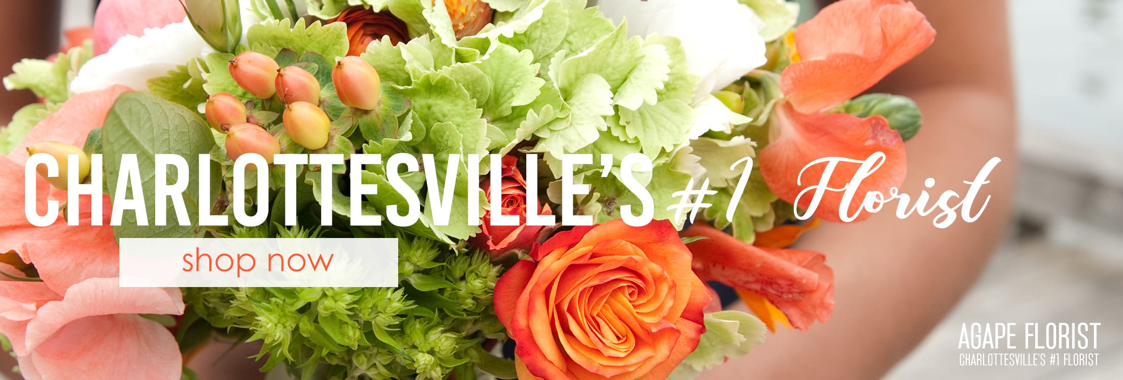 Charlottesville Florist Flower Delivery by Agape Florist