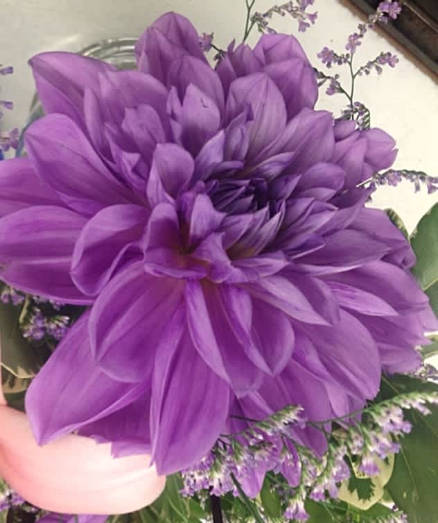 Opening up May 26th!