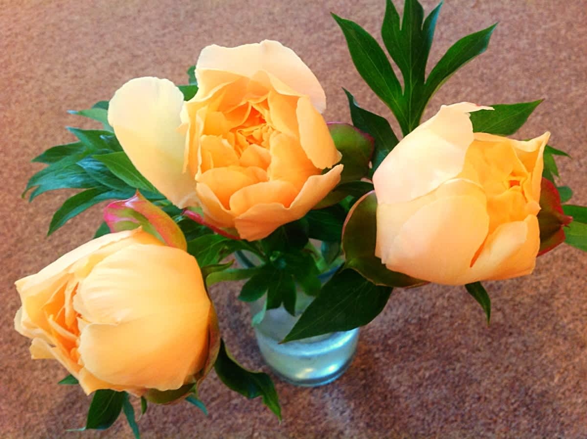 Blooming with happiness!