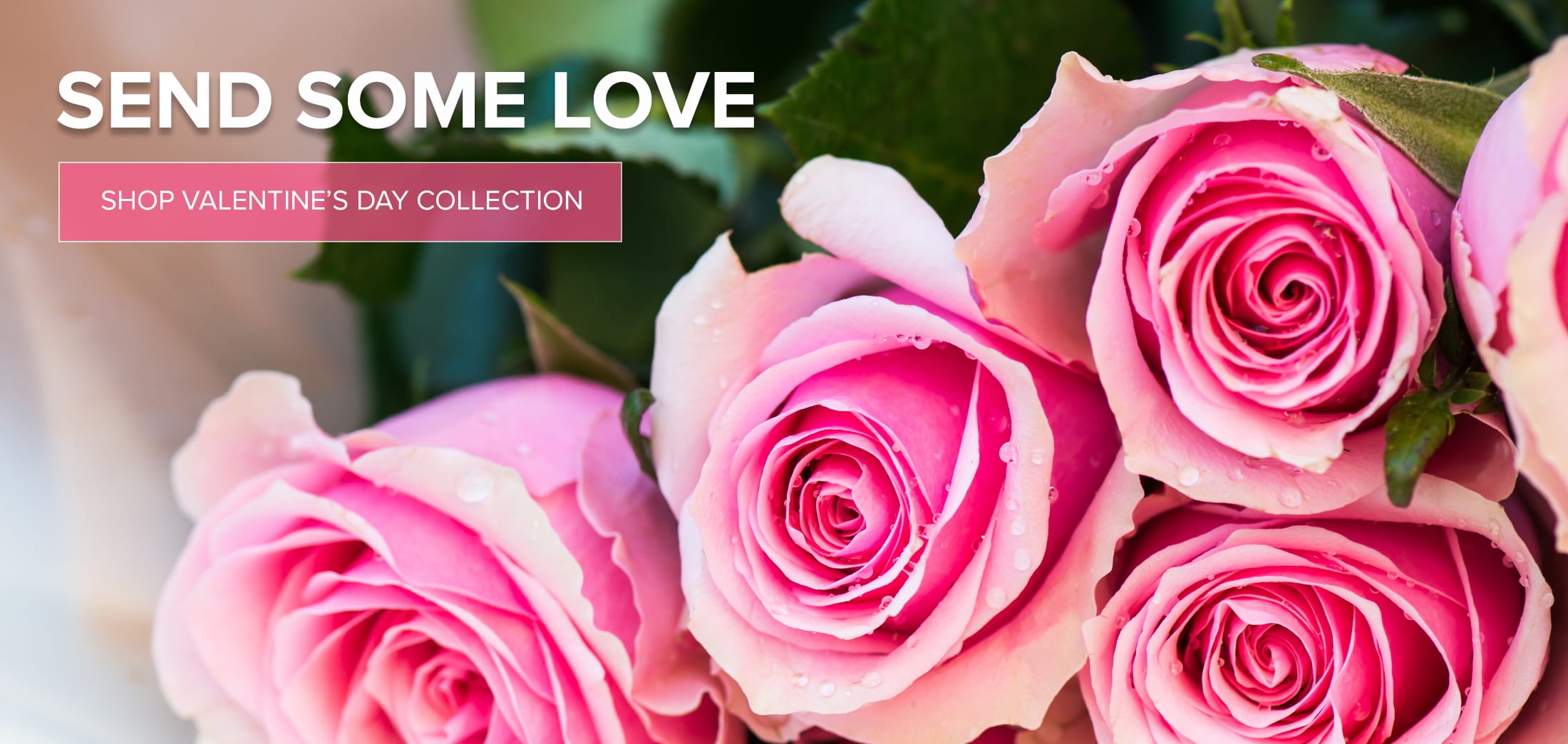 Dallas Florist Flower Delivery by All Occasions Florist