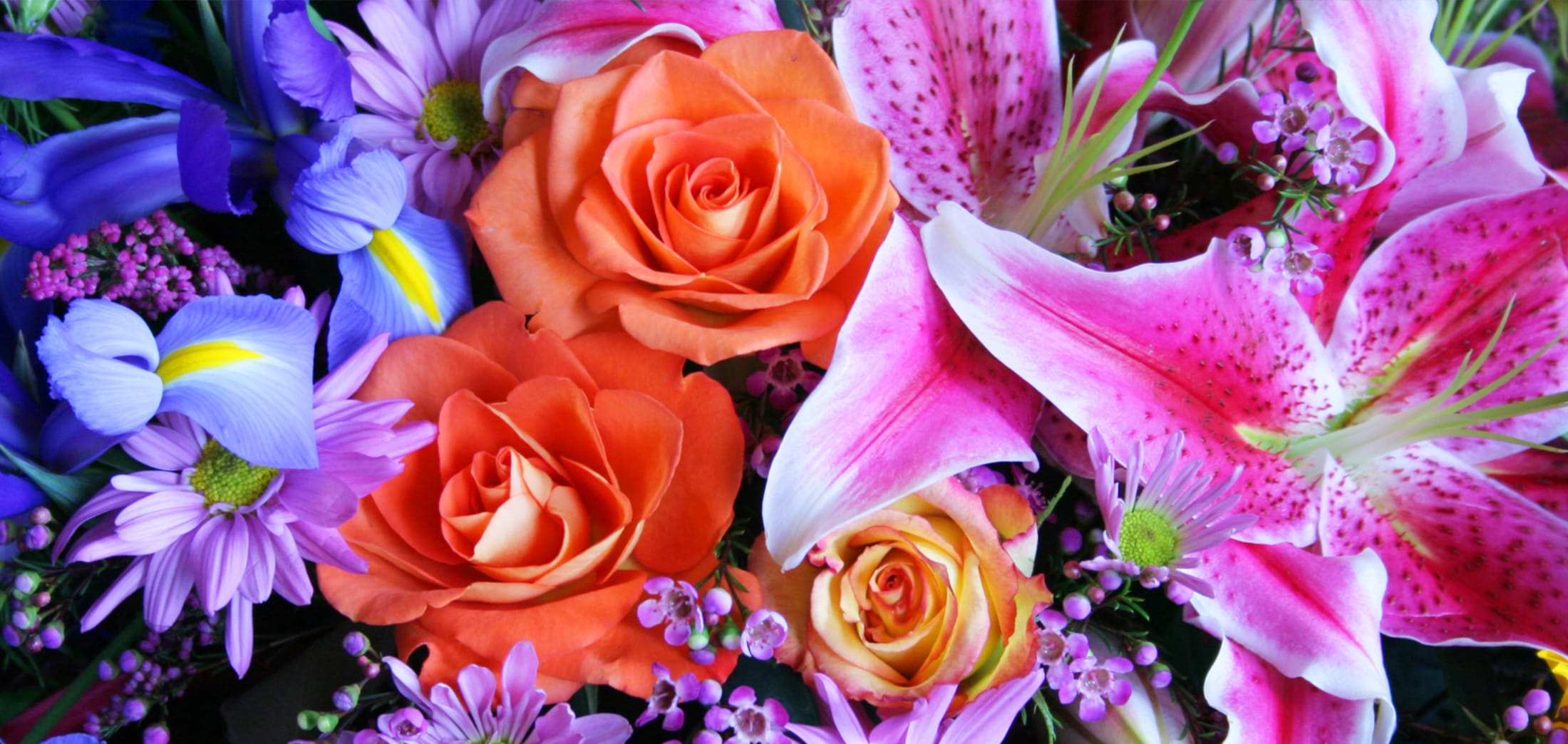 Dallas Florist | Flower Delivery by All Occasions Florist