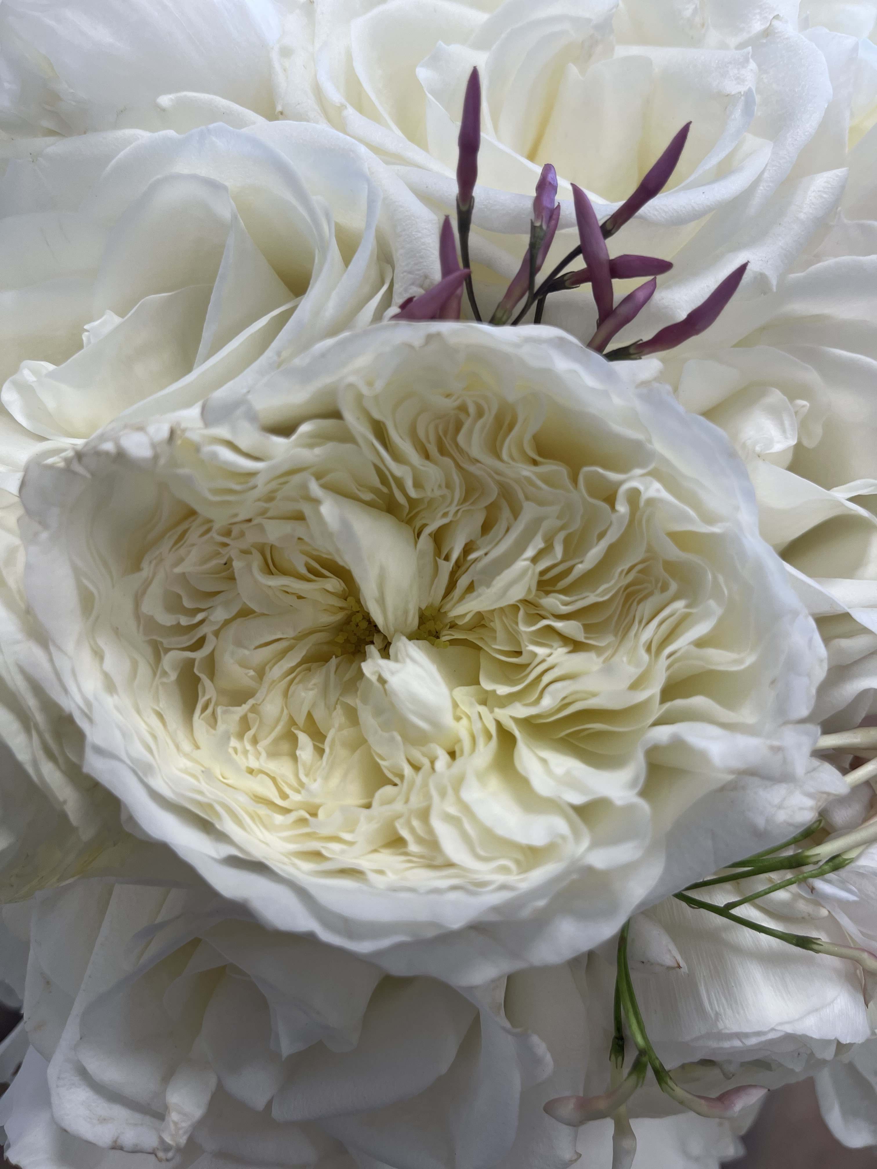 Perfect Floral Partner for Funeral Arrangements