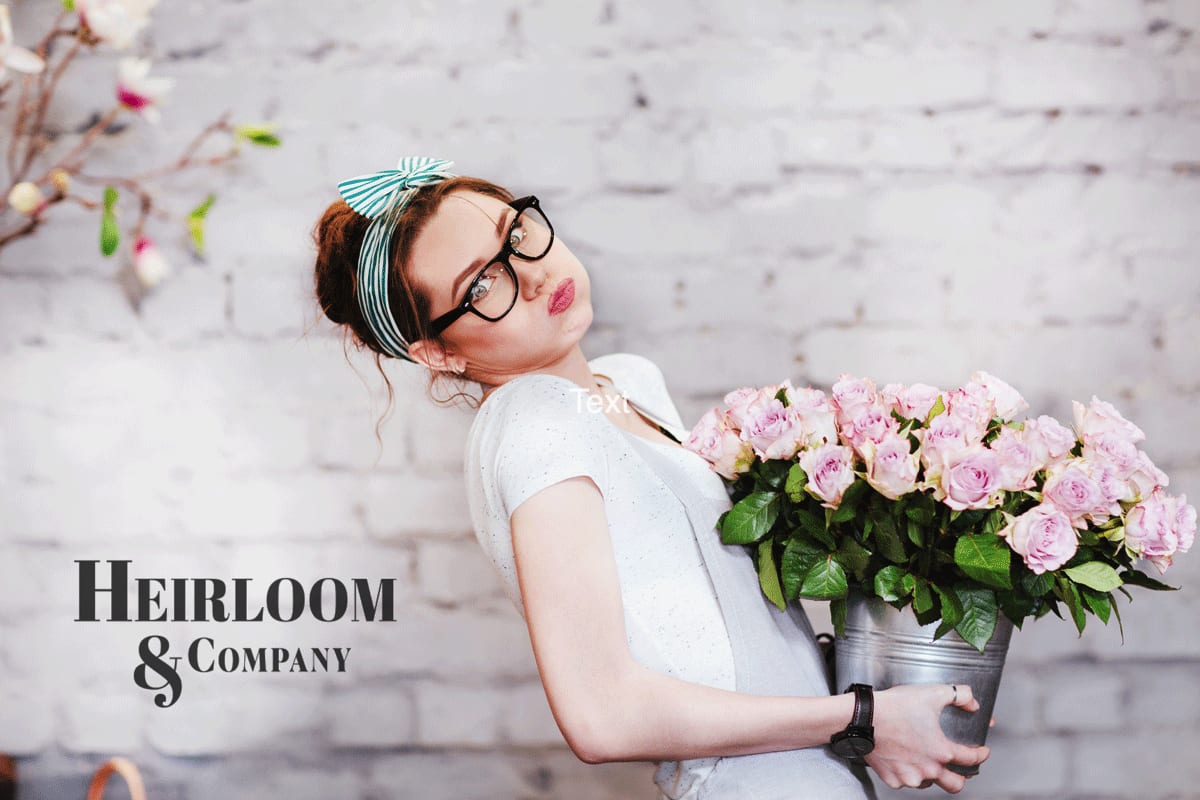 Flower Care : Cut Roses