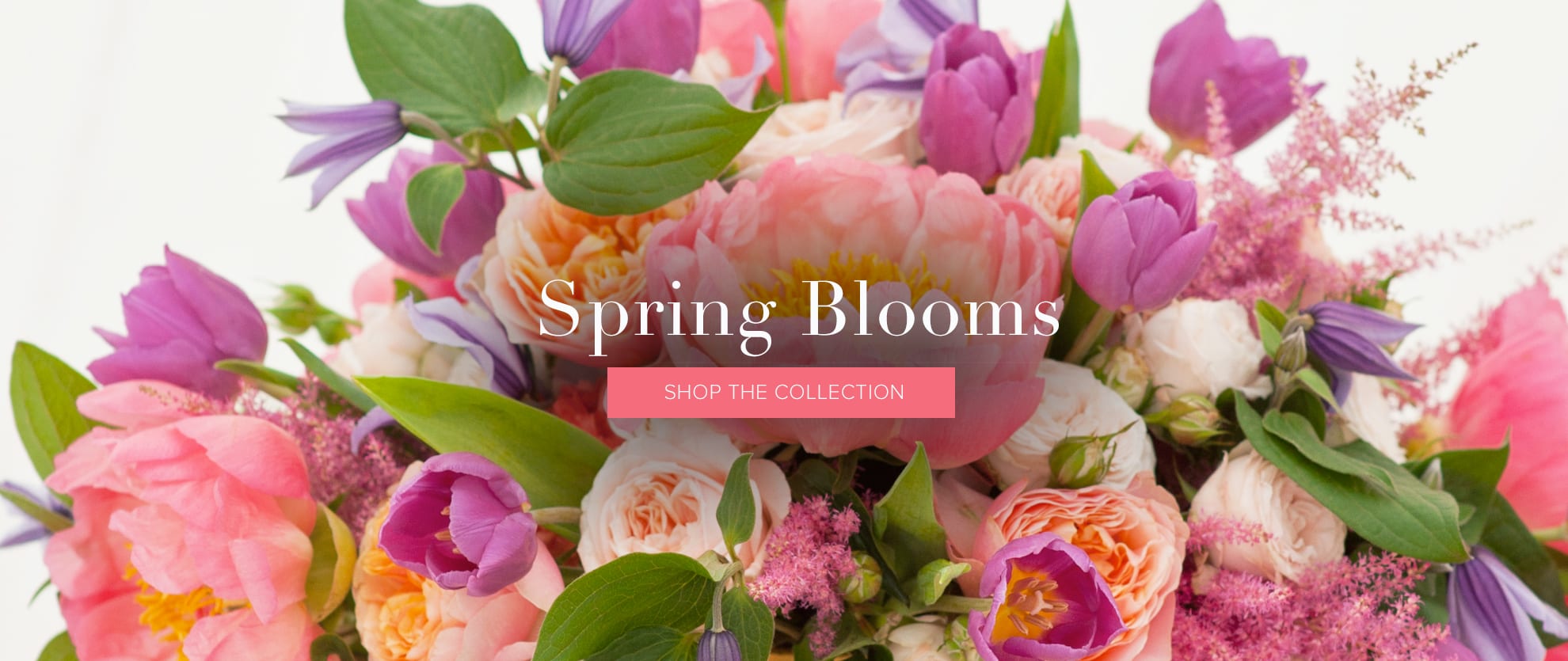 Brooklyn Florist Flower Delivery by Opalia Flowers