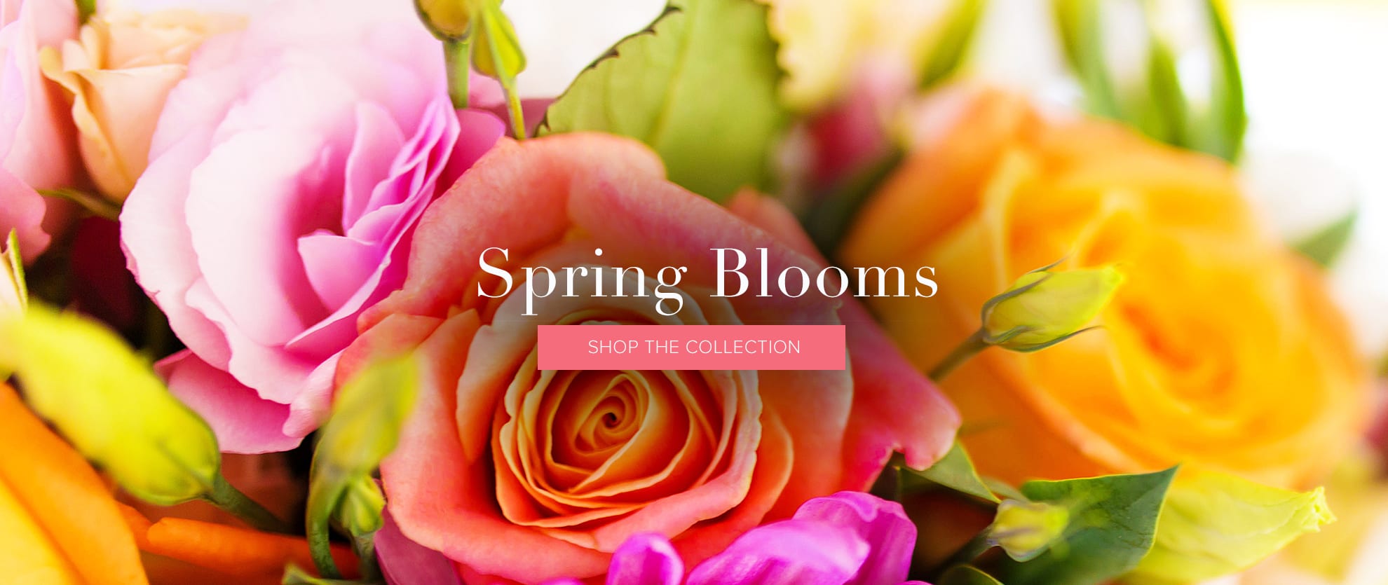 Brooklyn Florist Flower Delivery by Opalia Flowers