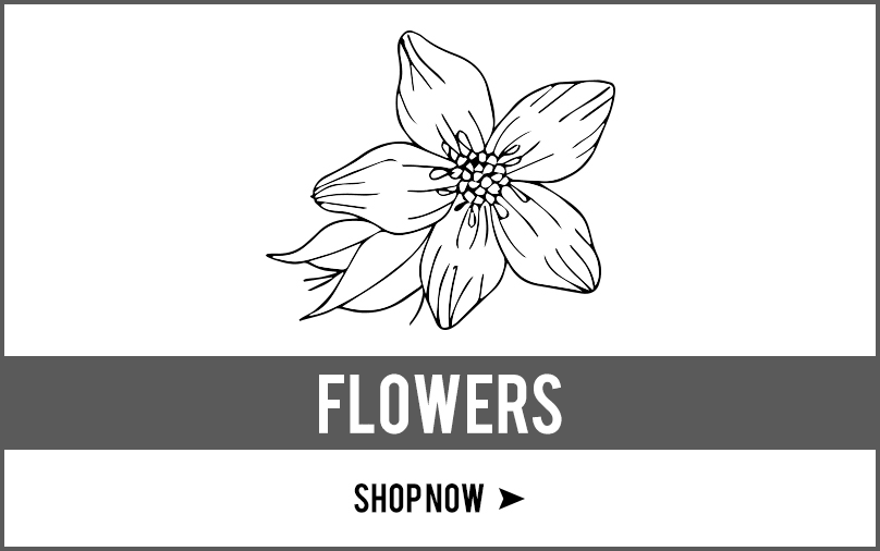 Virginia Beach Florist Flower Delivery By Wisps Of Willow