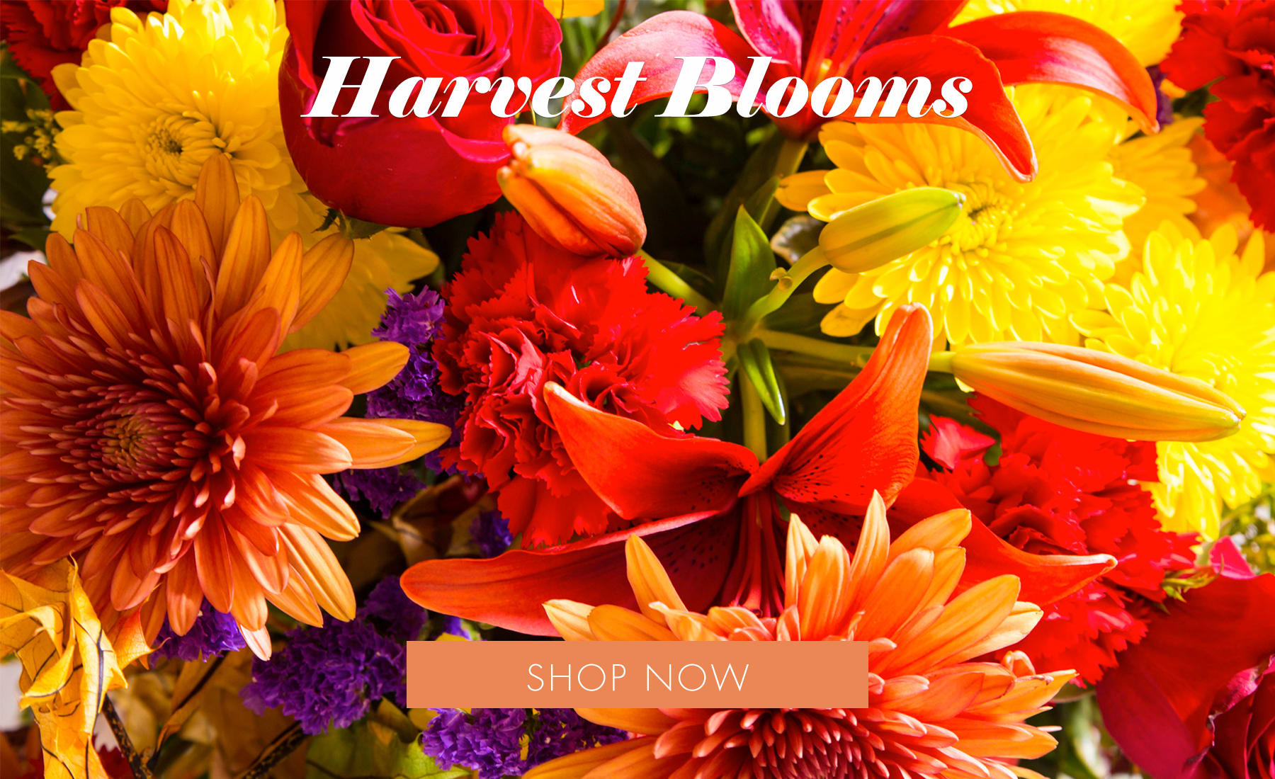 Norwood Young America Florist Flower Delivery by Gemma Floral & Gifts