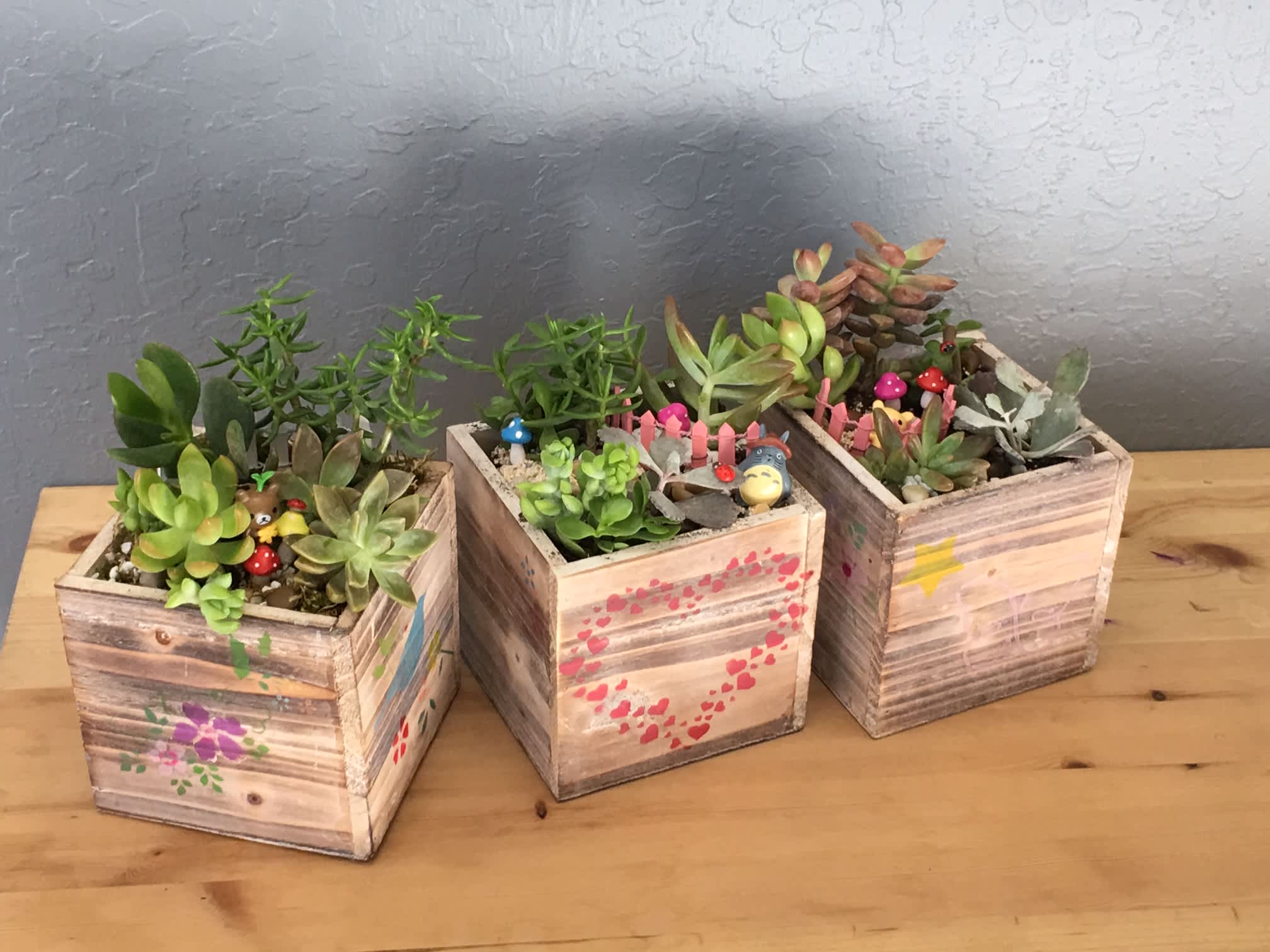 WORKSHOP: Succulent Planters