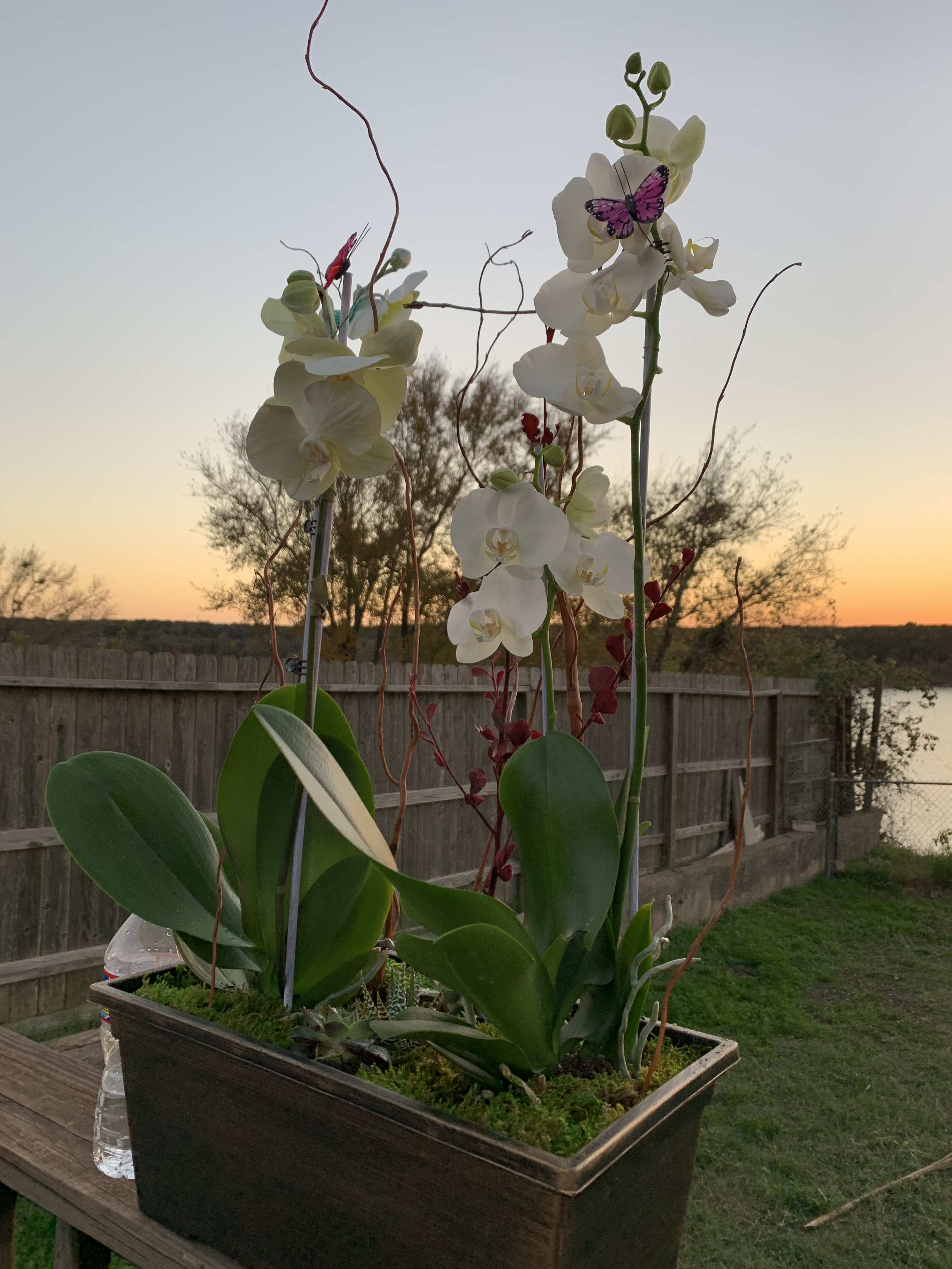 Salado Flower Delivery