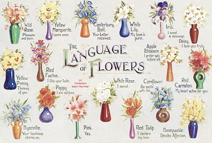 Make it personal, know the meaning of each flower.