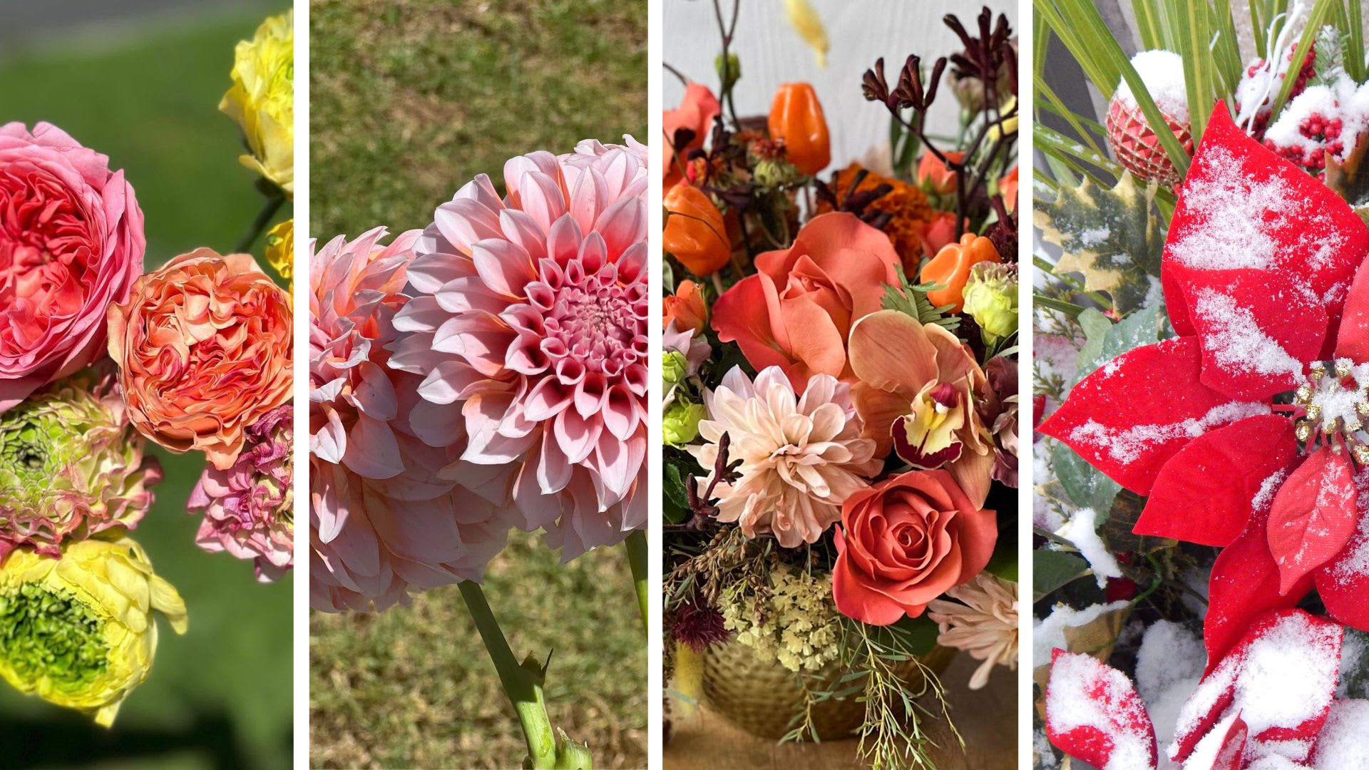 Choosing the Right Flowers for Each Season