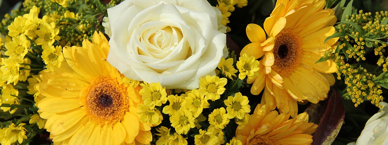 Greenbelt Florist | Flower Delivery by Beltway Blossom Shop