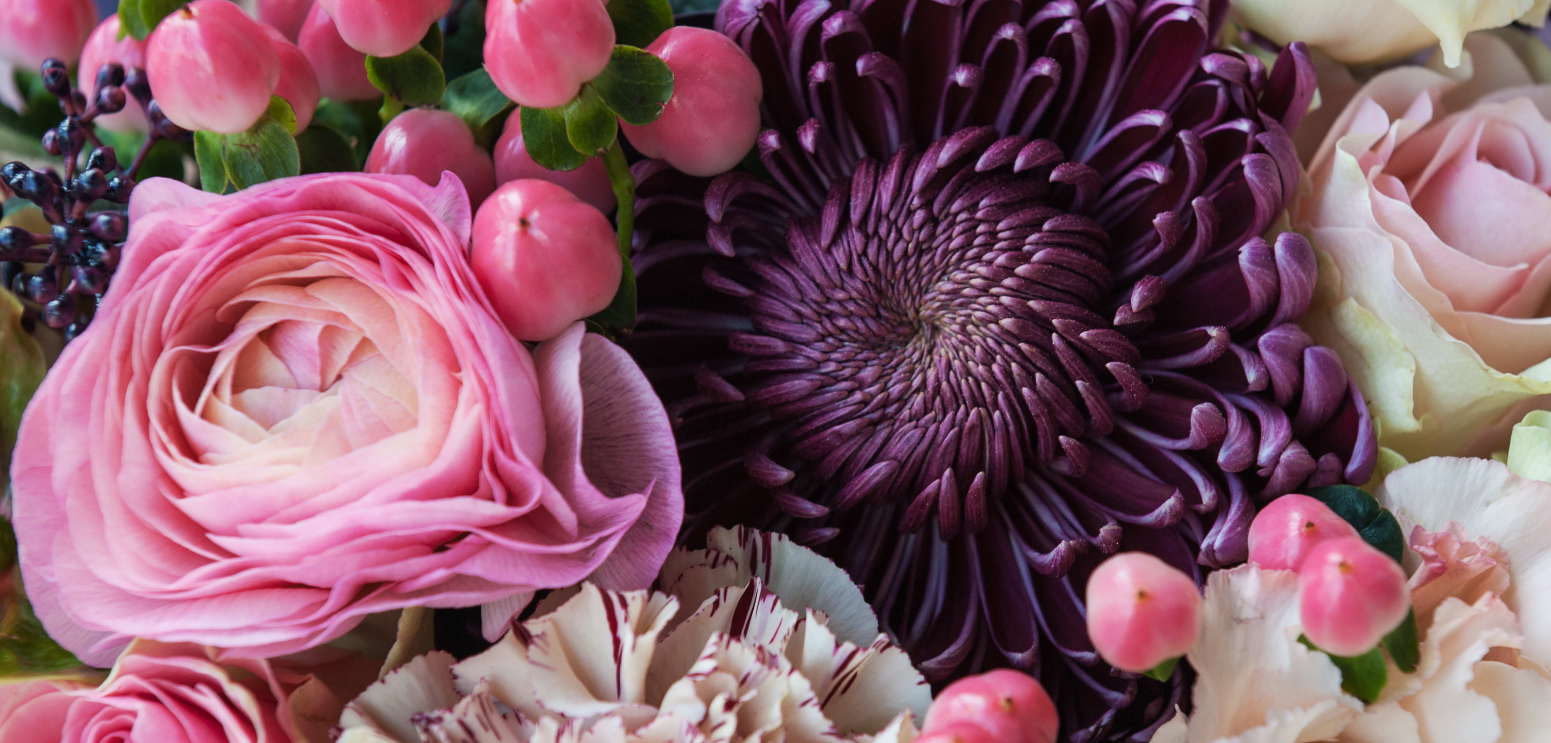 NOVATO Florist Flower Delivery by San Marin Flowers