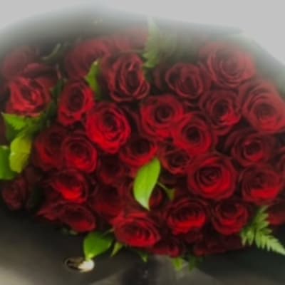 All Occasion Floral Shop Full Service Tacoma