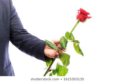 Valentine's Day Flowers Shop Local