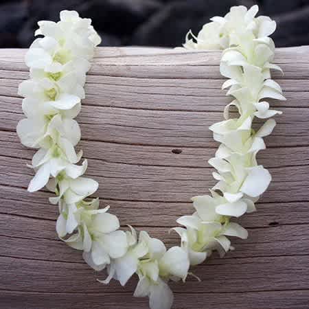 Leis near me 
