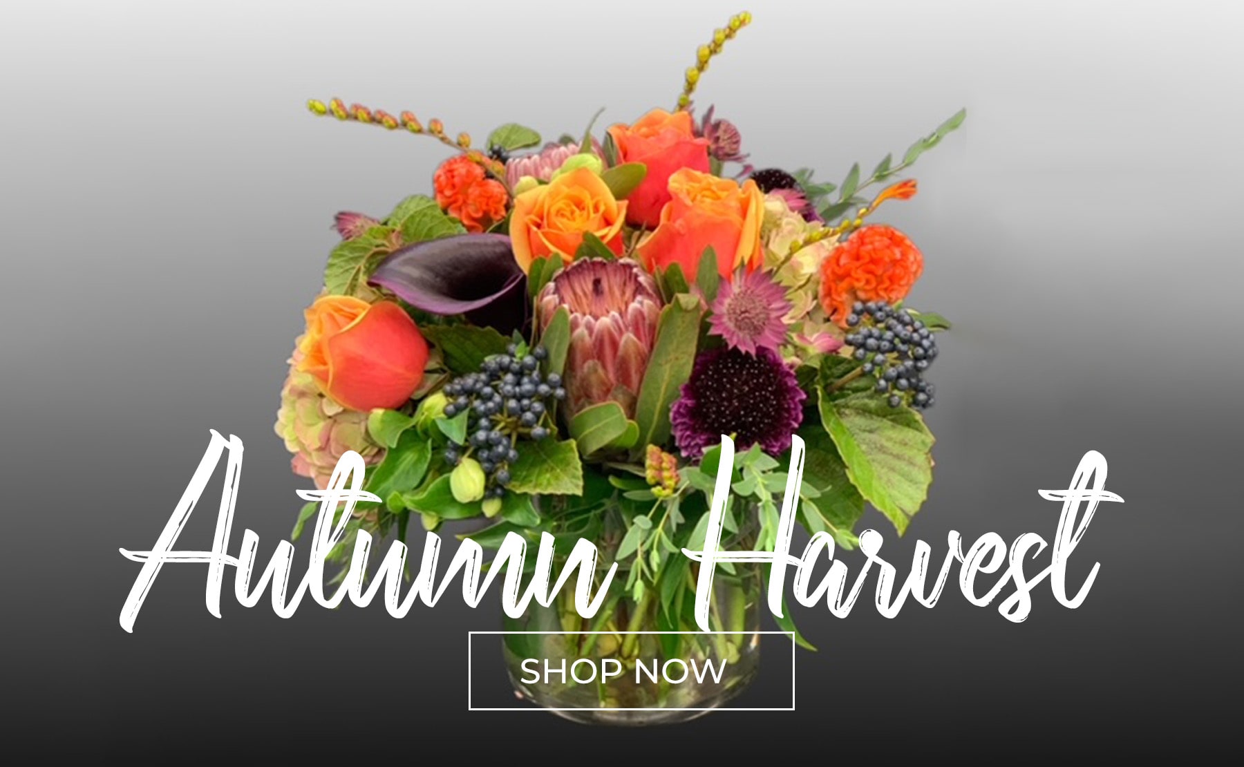 Natick Florist Flower Delivery by Posies of Wellesley