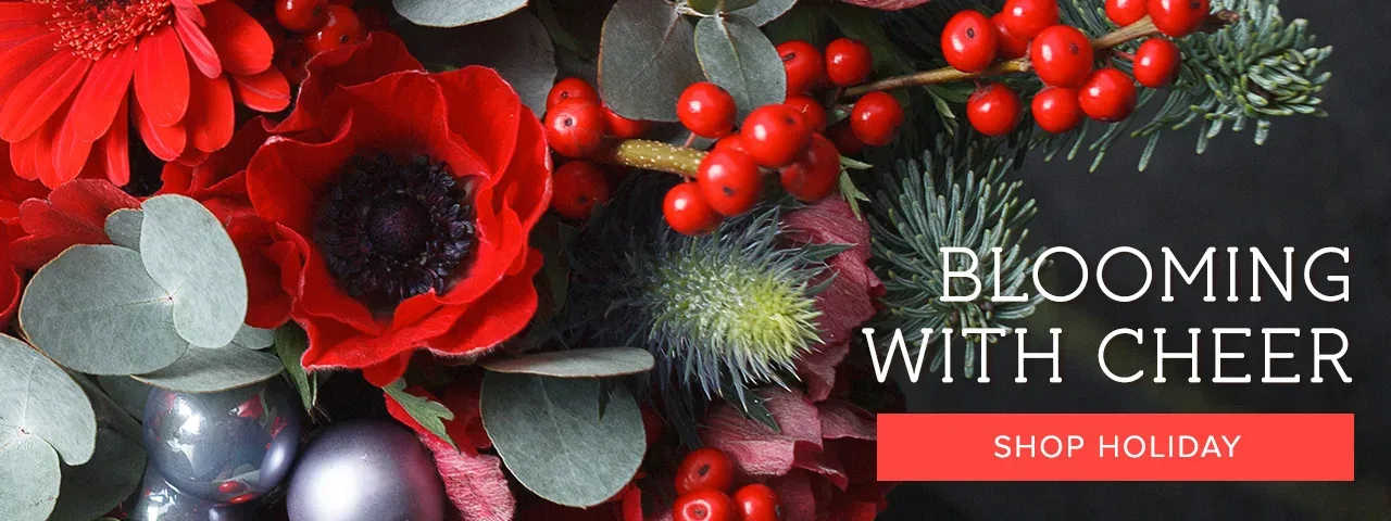 New products and getting ready for the holidays