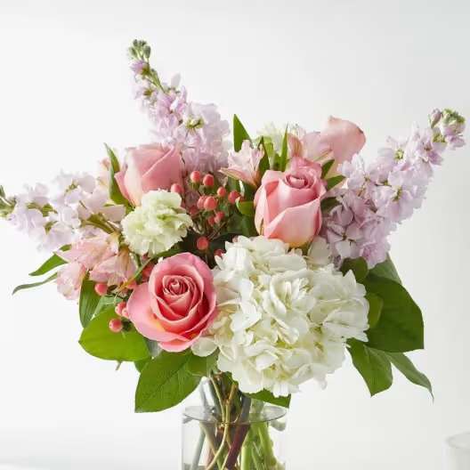 Our new varieties of fresh flowers