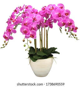 Inflation and our flower costs
