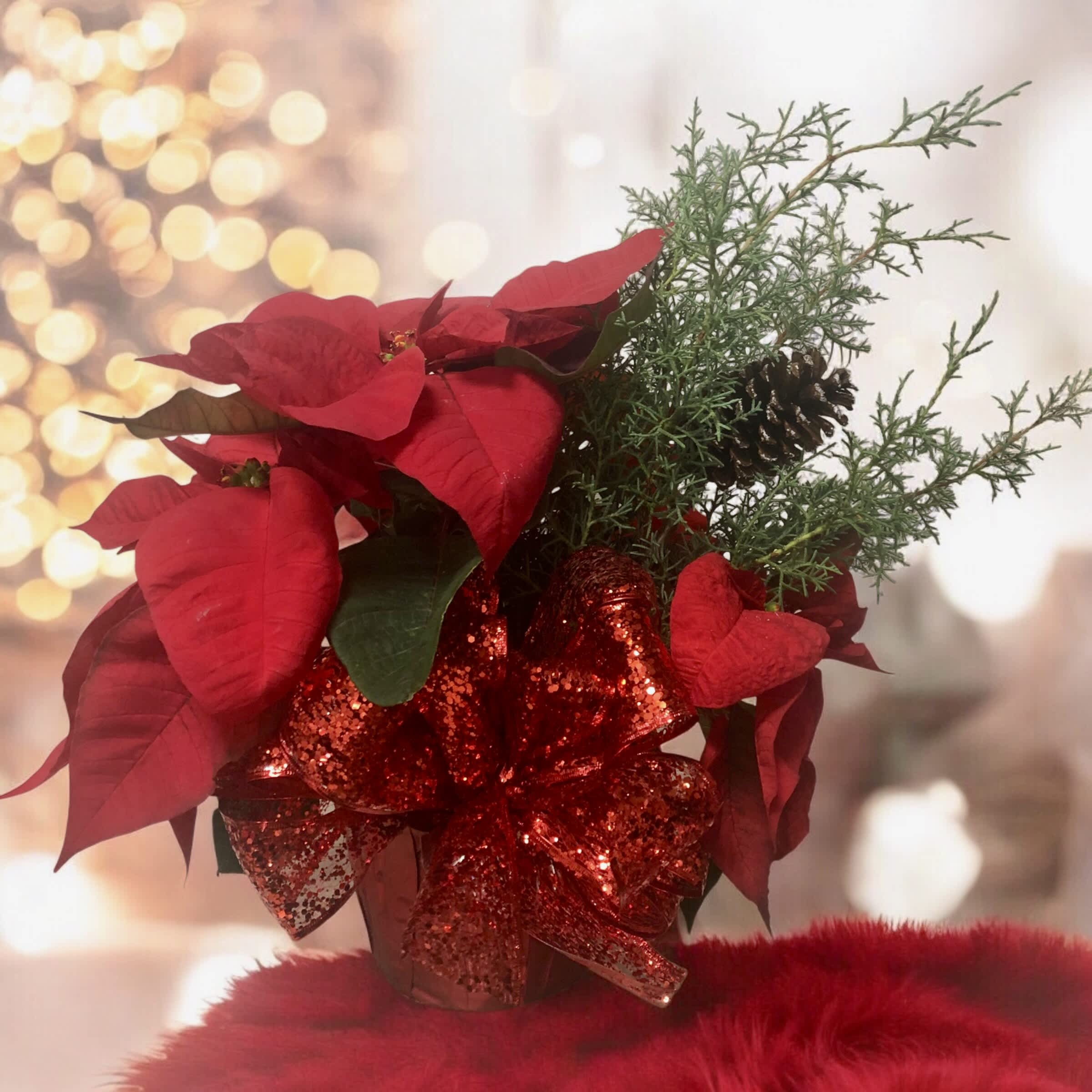 Why Flowers Make the Perfect Christmas Gift
